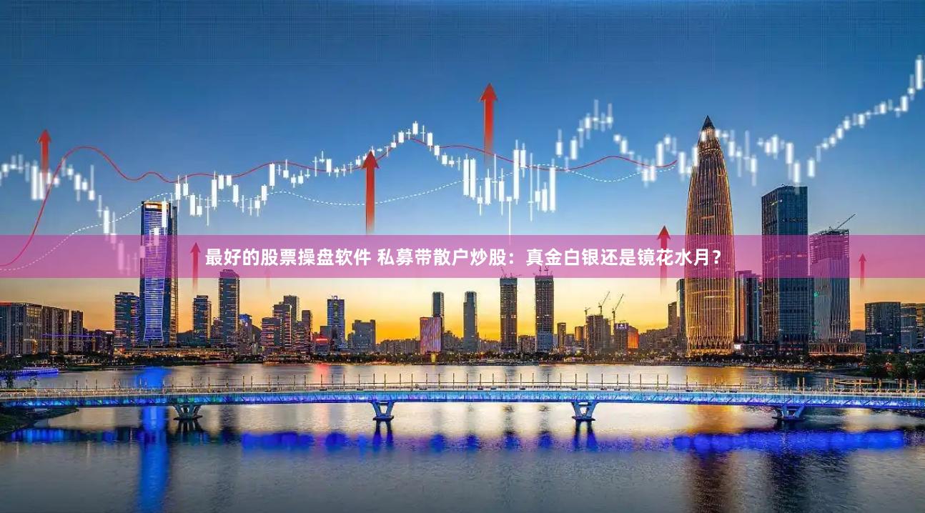 最好的股票操盘软件 私募带散户炒股：真金白银还是镜花水月？